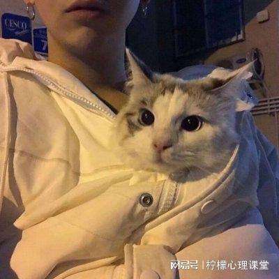 欢乐五美官方手游下载